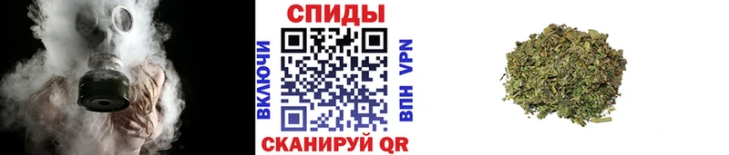 БУТИРАТ 1.4BDO  omg ONION  Киржач 