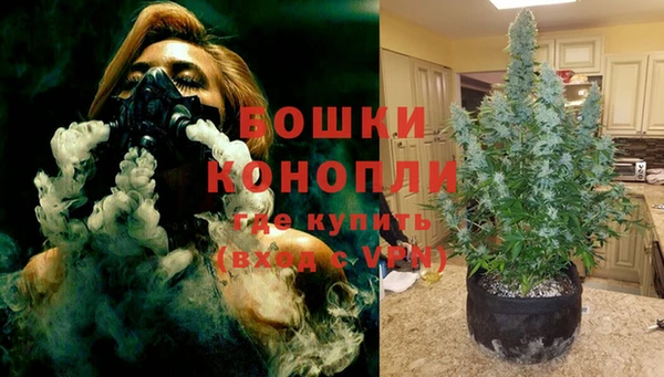 apvp Богданович