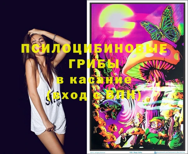 амфетамин Белокуриха