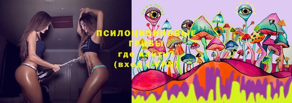 амфетамин Белокуриха